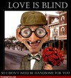 Love-is-Blind--95280[1]