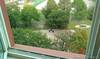 IMAG0040_(800_x_600)