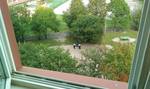 IMAG0040_(800_x_600)