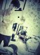 _AHzdCrluAM