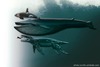 predator-x-size-comparison[1]