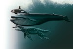 predator-x-size-comparison[1]