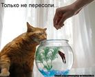 getImage 