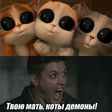 1371630952_gik-6
