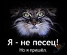 Прикольная