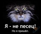 Прикольная
