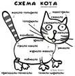 x_66285744