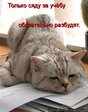Учеба