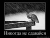 x_bba59ba8