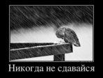 x_bba59ba8