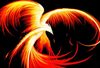16156phoenix