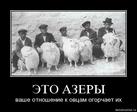rygtevflfo1g