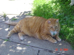 DSC03060