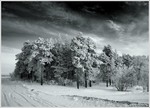 0_617b_e4824f4f_XL