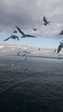 IMG-20200105-WA0001
