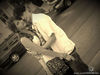 getImage (5)