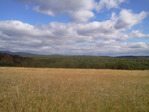 Украина