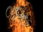 28 [Freetorrents.org.ua]