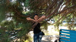 SAM_2296