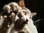 DSCF0695