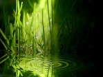 36476_prev_425