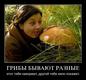 Бафнись грибом)