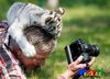 1349662243_377_photo30