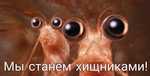Хищники