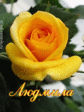 У меня Есть Людаааааааааааа :-*