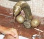 Хочешь такой краник себе домой ? )