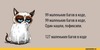 Grumpy-Cat-программисты-удалённое-1119063