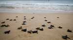 IMG-20241217-WA0007