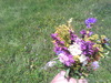 IMG_20130720_141412
