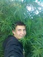 сады мечты