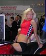 3ad9e75a4a5db227a7d7304fa145cf5d_full