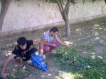 Image0106[1]