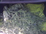 Image0105[1]