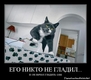 photo (22)