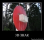 photo (28)