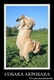 photo (27)