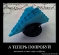 photo (25)