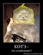 photo (21)