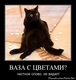 photo (12)