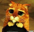 1329654431_Shrek_3_-_Cat