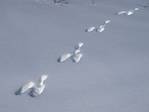 0_8663f_3d20866e_orig