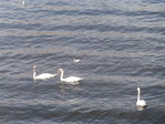 P9250215