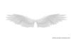 archAngel wings