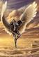 images (1)