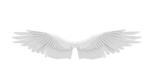 archAngel wings