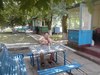 море, гульки-)